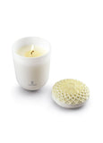 Echoes Of Nature Candle. Tropical Blossoms Scent