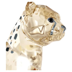 Elegance of Africa SCS Cheetah Baby Jabari