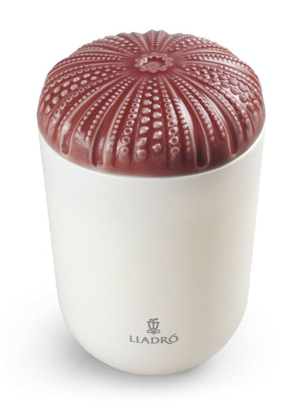 Echoes Of Nature Candle. Mediterranean Beach