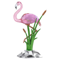 Idyllia Flamingo