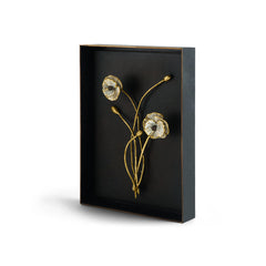 Anemone Shadow Box