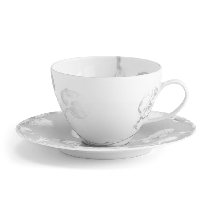 Cup & Saucer