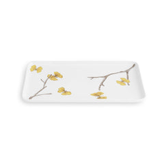 Vanity Tray