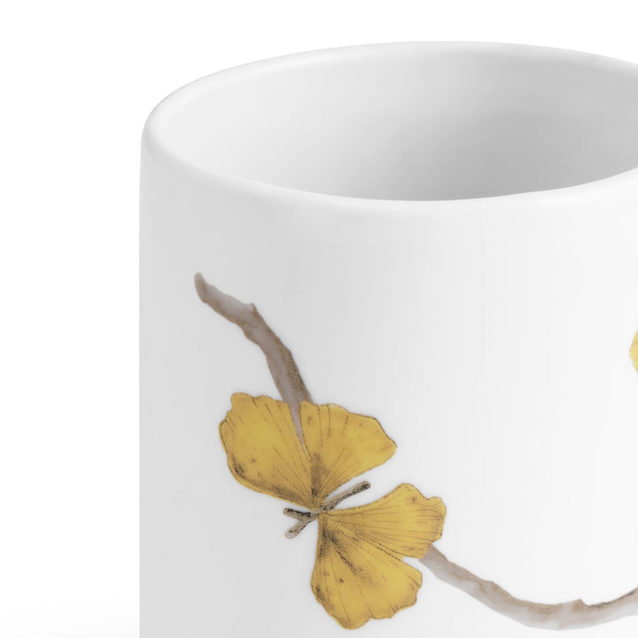 Toothbrush Holder