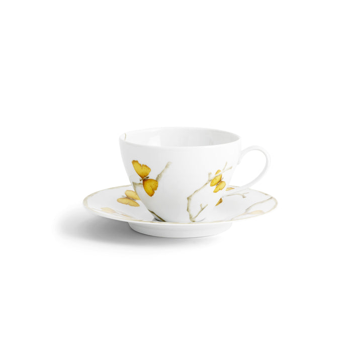 Cup & Saucer