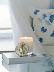 Butterfly Ginkgo Gold Scented Candle, 8 oz.