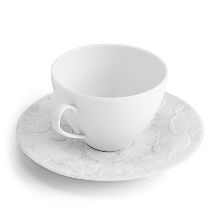 Cup & Saucer