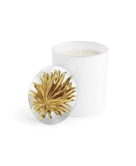 Palm Scented Candle, 8 oz.