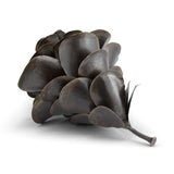 Pine Cone Object