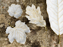 Winter Leaves Red Oak Dish