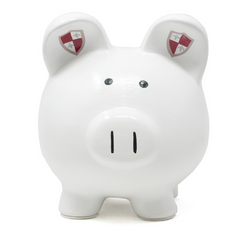 Mythical Dragon Piggy Bank