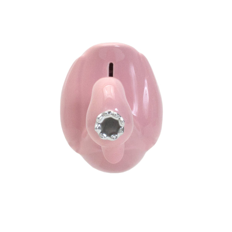 Pink Swan With Silver Crown Bank