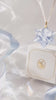 SCS Blue Shade Star Ornament