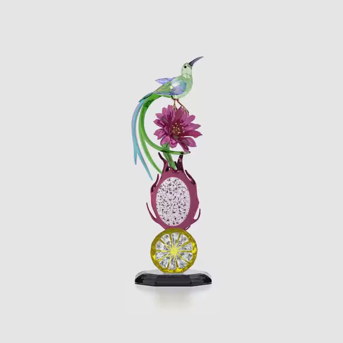 Idyllia Sugarbird and Dragon Fruit Totem