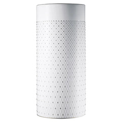 Princess Platinum Vase