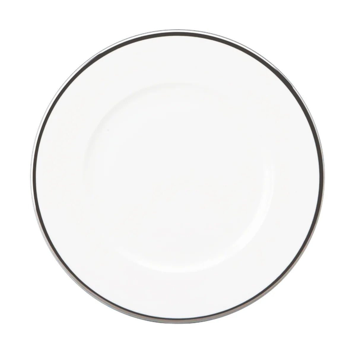 Comet Platinum Dinner Plate, Platinum