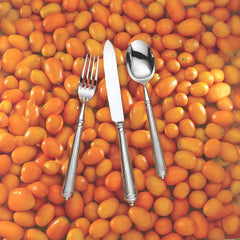 Rialto Mirrored 18/10 Stainless Steel 20 Piece Flatware Set