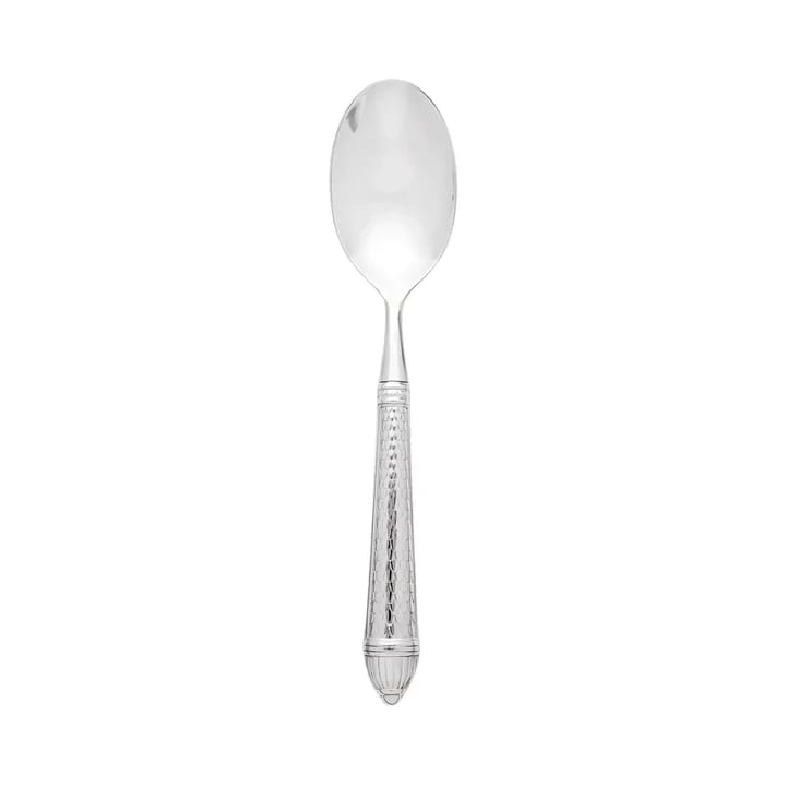 Raffaello Mirrored 18/10 Stainless Steel Serving Spoon