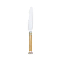 Royal Bramasole Mirrored Accented Gold 18/10 Stainless Steel Dinner Knife