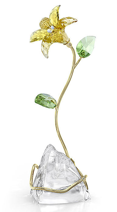 Florere Lily Yellow