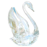 Scs Annual Edition 2024 Swan