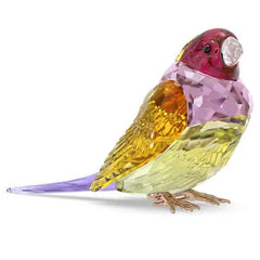 Idyllia Scs Gouldian Finch Large