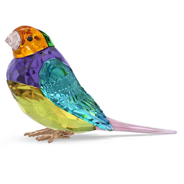 Idyllia Scs Gouldian Finch Small