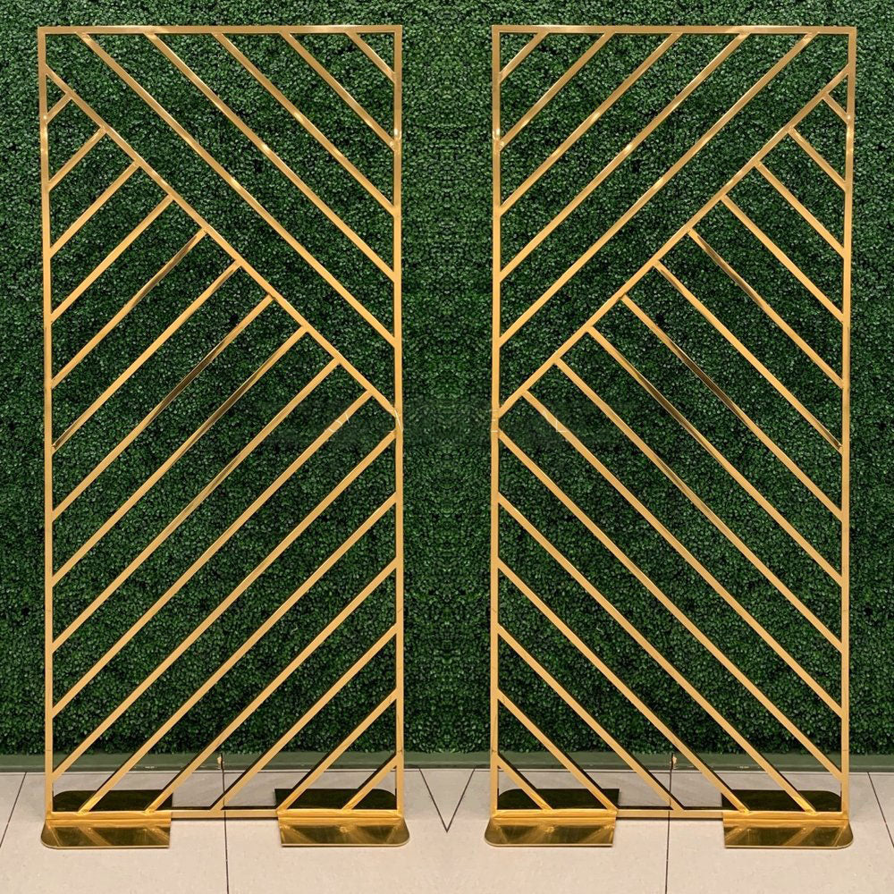 Teagan Frame Duo RENTAL