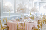 Tulle Wave Blush Table Cloth Rental