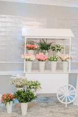 Flower Cart With Flowers For 100 Bouquets