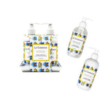 Rosemary Mint Fragrance Hand Wash & Hand Cream w/ Matching Melamine Soap Dish Gift Set