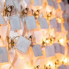 Shimmering Butterly Night Light With Bow