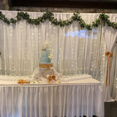Magic Kingdom Fairy Light Backdrop Rental