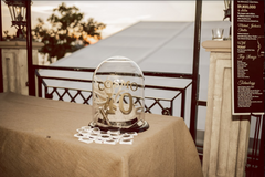 Antlers and Alcohol Dome Centerpiece Rental