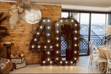 Antlers and Alcohol Photobooth Rental Package