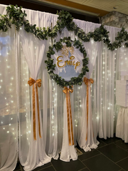 Magic Kingdom Fairy Light Backdrop Rental