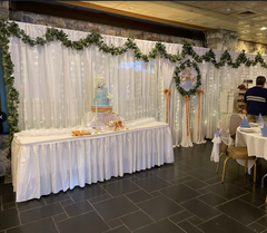 Magic Kingdom Fairy Light Backdrop Rental