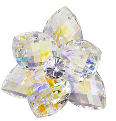 Debora Carlucci 24% Crystal Lotus Waterlily
