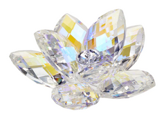 Debora Carlucci 24% Crystal Lotus Waterlily