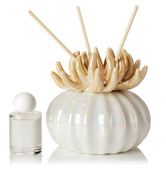Debora Carlucci Coral Reed Diffuser W/ Frosted Porcelain Bottom