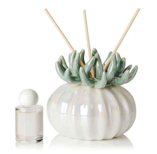 Debora Carlucci Coral Reed Diffuser W/ Frosted Porcelain Bottom