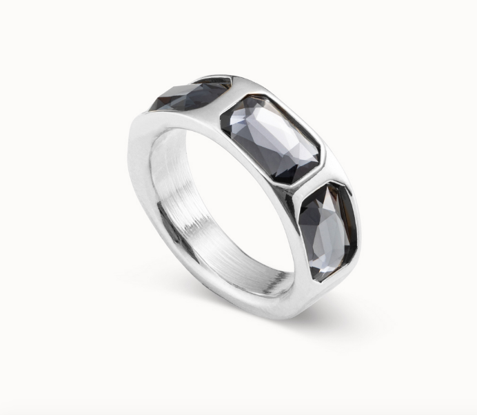 The Guardian Ring