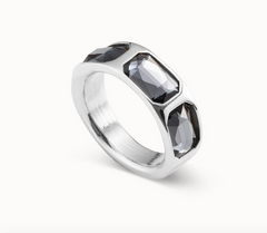 The Guardian Ring