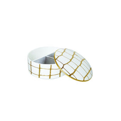 Alligator Gold Jewelry Box