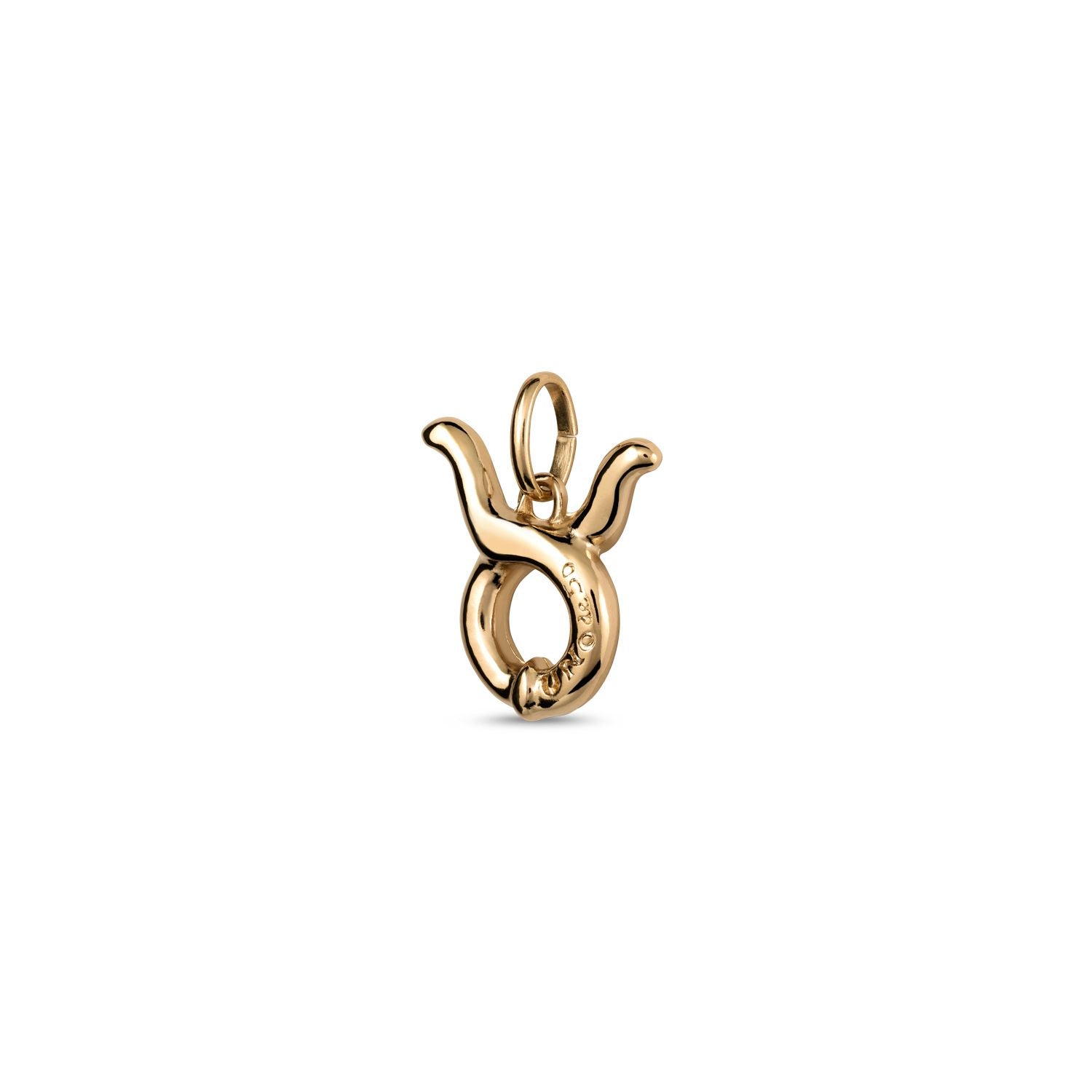 Taurus Charm