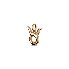 Taurus Charm