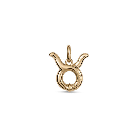 Taurus Charm