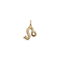 Leo Charm