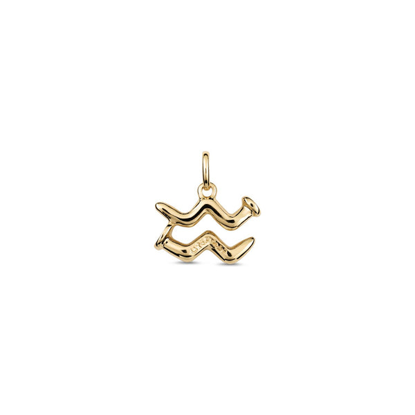 Aquarius Charm
