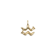Aquarius Charm